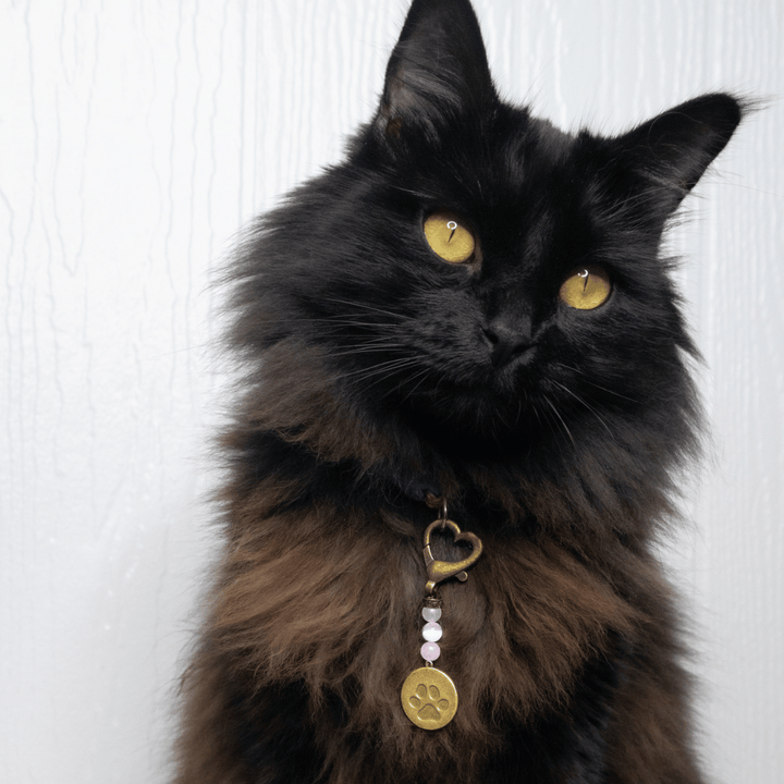 Love Pet Charm