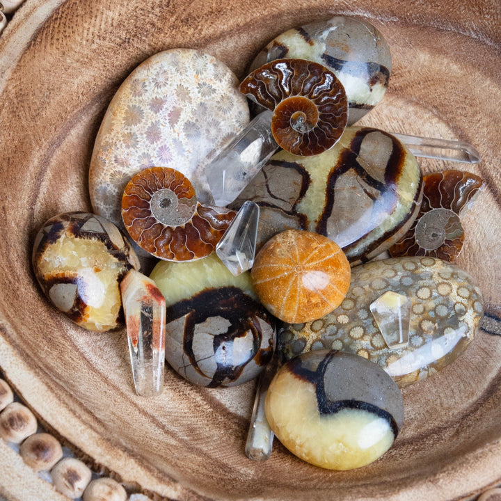 Septarian Touchstone