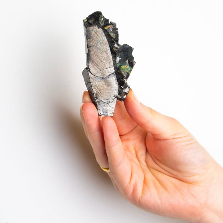 Elite Shungite Stone