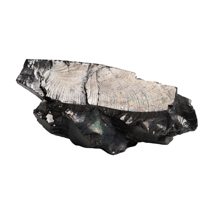Elite Shungite Stone
